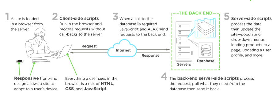 what-is-front-end-dev